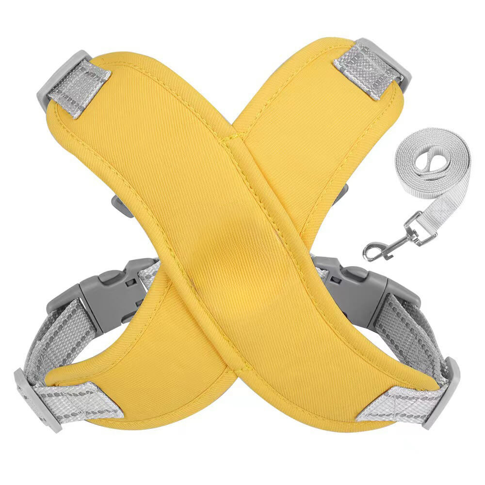 Harnais de corde de traction pour chien de compagnie - respirant et sécurisé