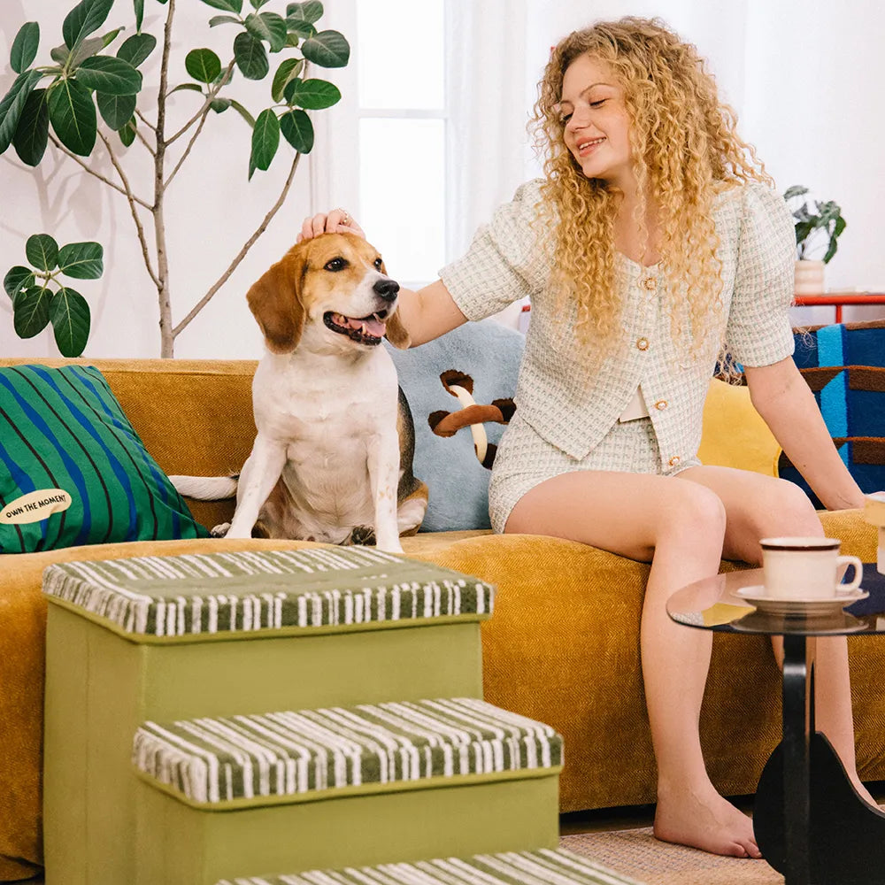 Foldable Dog Stairs with Storage and Condo - Funnyfuzzy SnugNest