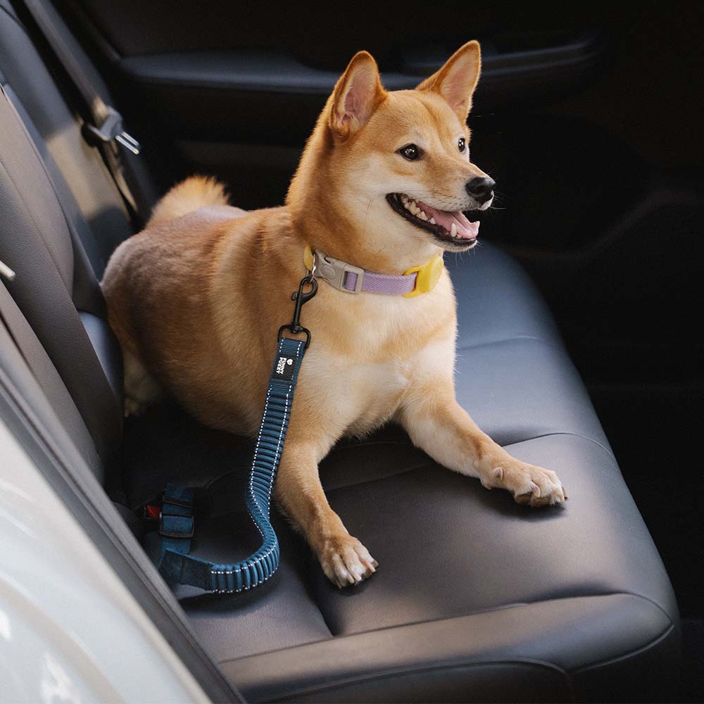 Car Seat Belt Buffer Adjustable Cool Dog Accessories - FUNNYFUZZY
