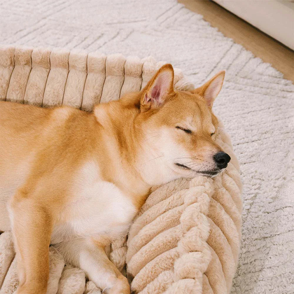 Plush Warmth Removable Orthopedic Wedge Bolster Dog Sofa Bed - CozySlope