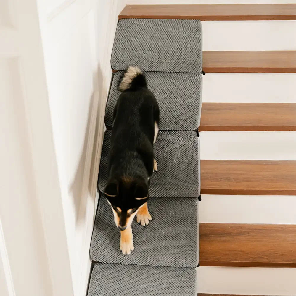 Modular Foam Dog Ramp Stairs for Staircase Stairs with Velcro