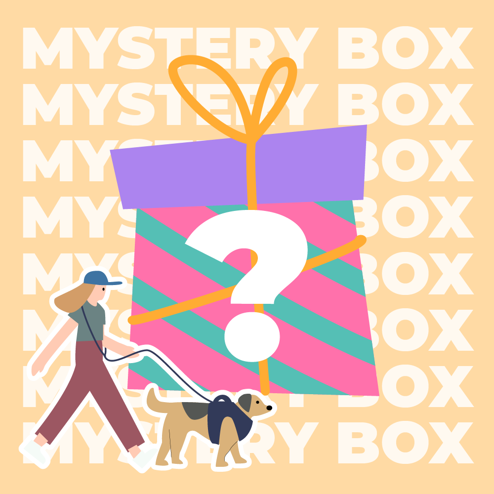 Mystery Box - Premium Walking Harness - Random - 1pc