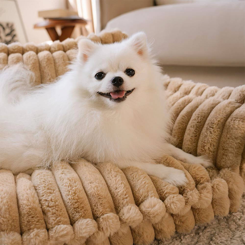 Large Washable Fluffy Orthopedic Soft Dog Pillow Dog Sofa Bed-Snoozy Dreams