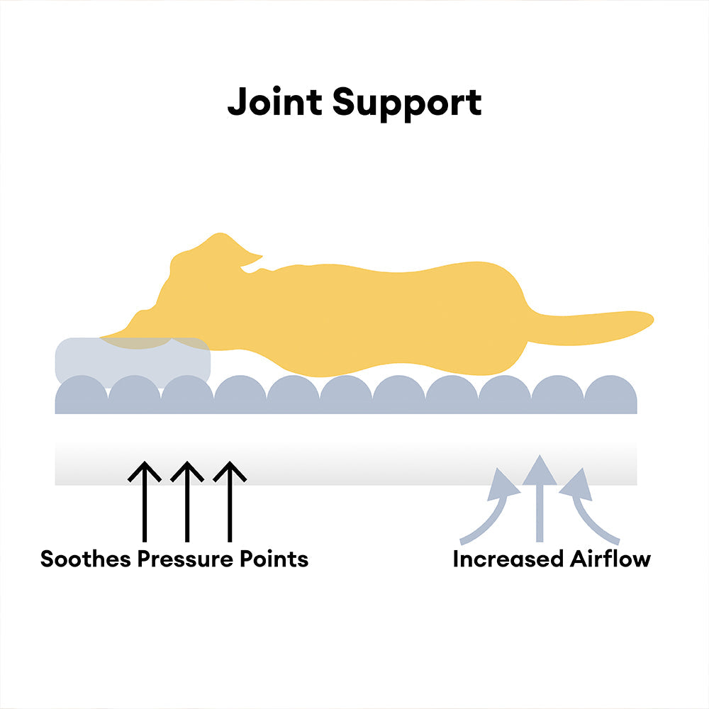 Large Washable Fluffy Orthopedic Soft Dog Pillow Dog Sofa Bed-Snoozy Dreams