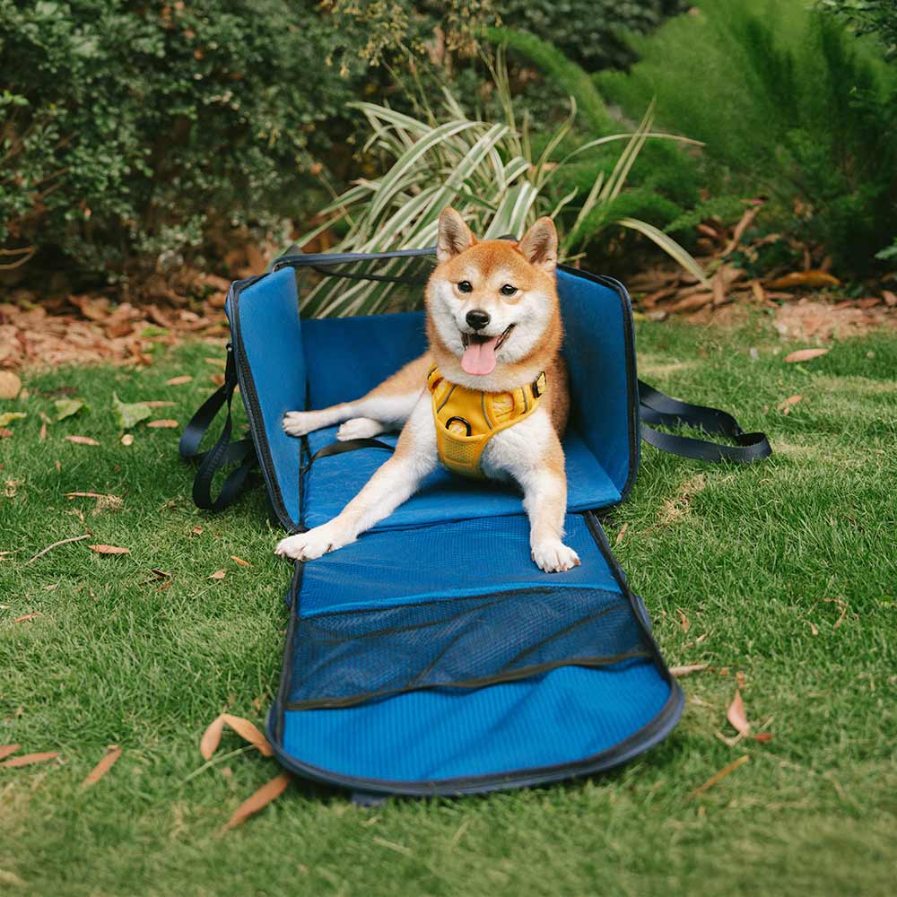 Lightweight Waterproof Safety Dog Booster Car Seat & Pet Carrier - Gympet