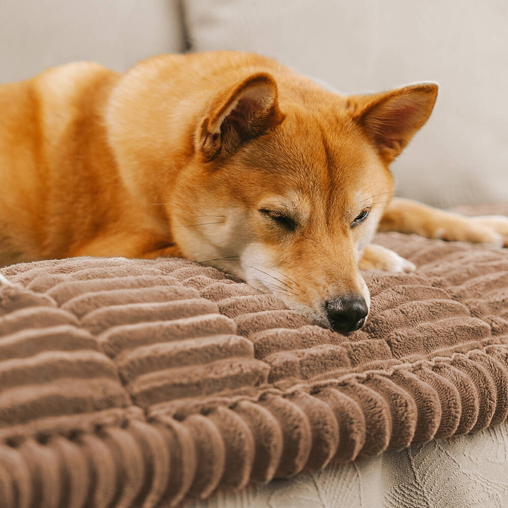 Make Waffle Biscuit Sofa Cover – Cozy Soft Flannel & Breathable Pet Mat