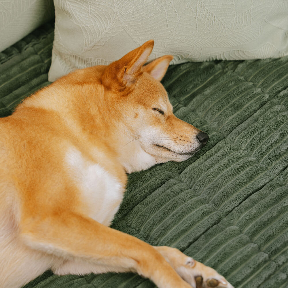 Make Waffle Biscuit Sofa Cover – Cozy Soft Flannel & Breathable Pet Mat