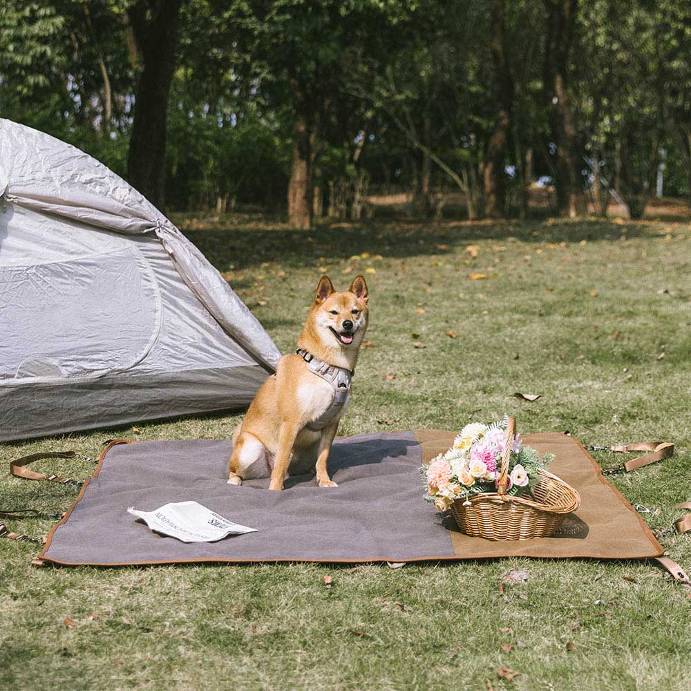 Classique rétro – Housse de siège arrière étanche à double usage pour camping et voiture