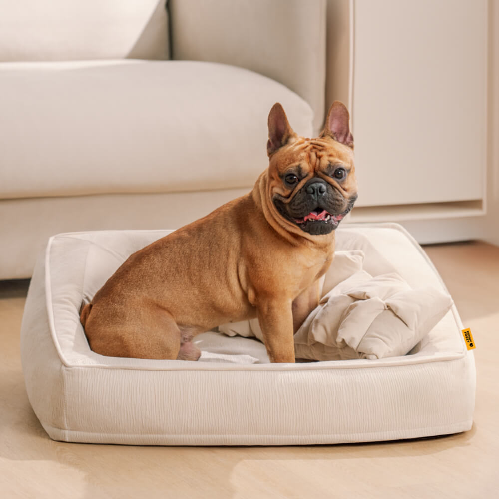 Canapé-lit pour chien à soutien orthopédique confortable avec oreillers