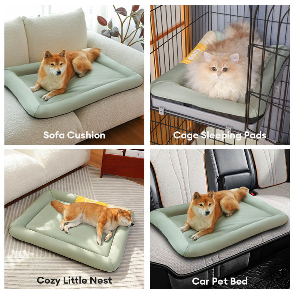 Colorblock Waterproof Scratch-Resistant All-Season Dog Mat