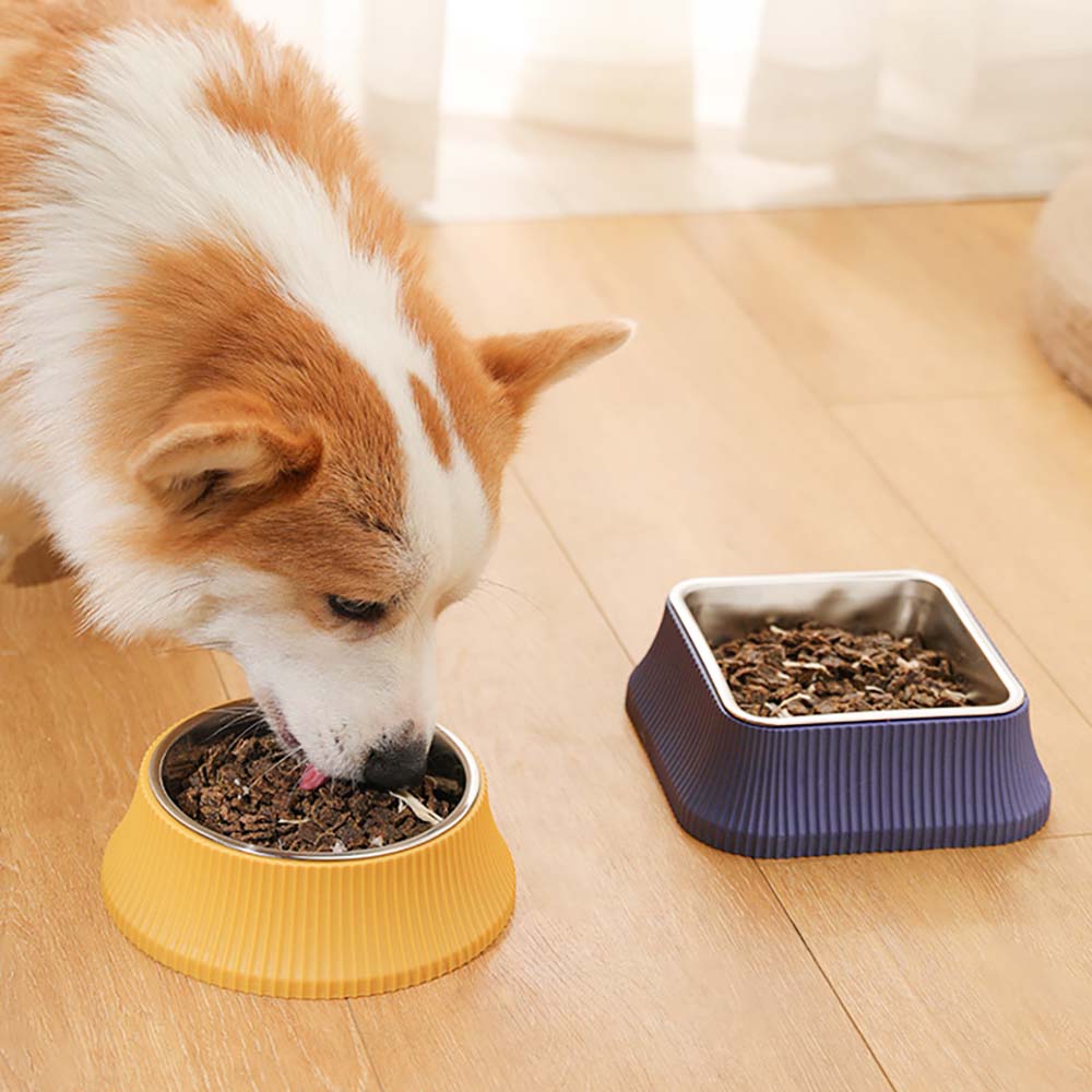 Dog Bowl - Roman Columns - FUNNYFUZZY