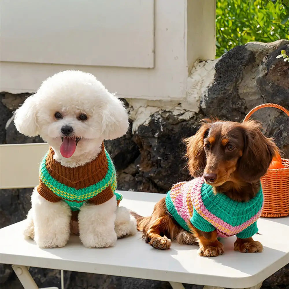 Colour Blocked Striped Dog Sweater For Small Dogs