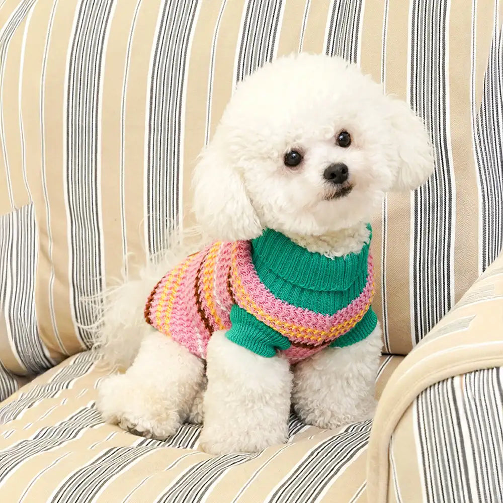 Colour Blocked Striped Dog Sweater For Small Dogs