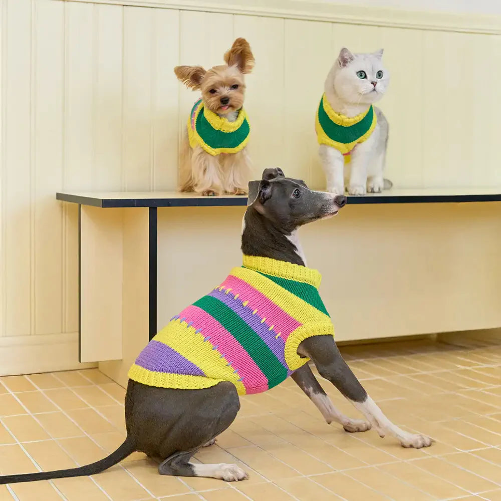 Colour Blocked Striped Sleeveless Dog Sweater For Small Dogs