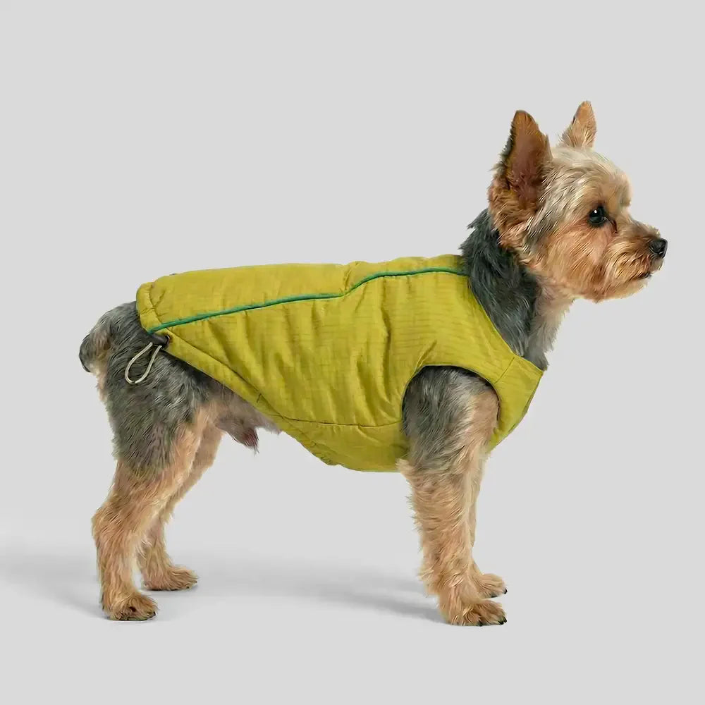 Fashion Reversible Padded Thick Warm Dog Jacket