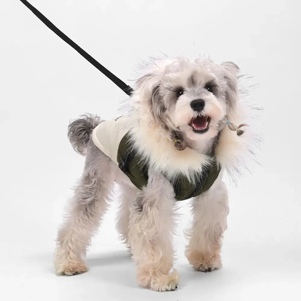 Fur-Trim Hooded Warm Dog Coat with Leash Buckle