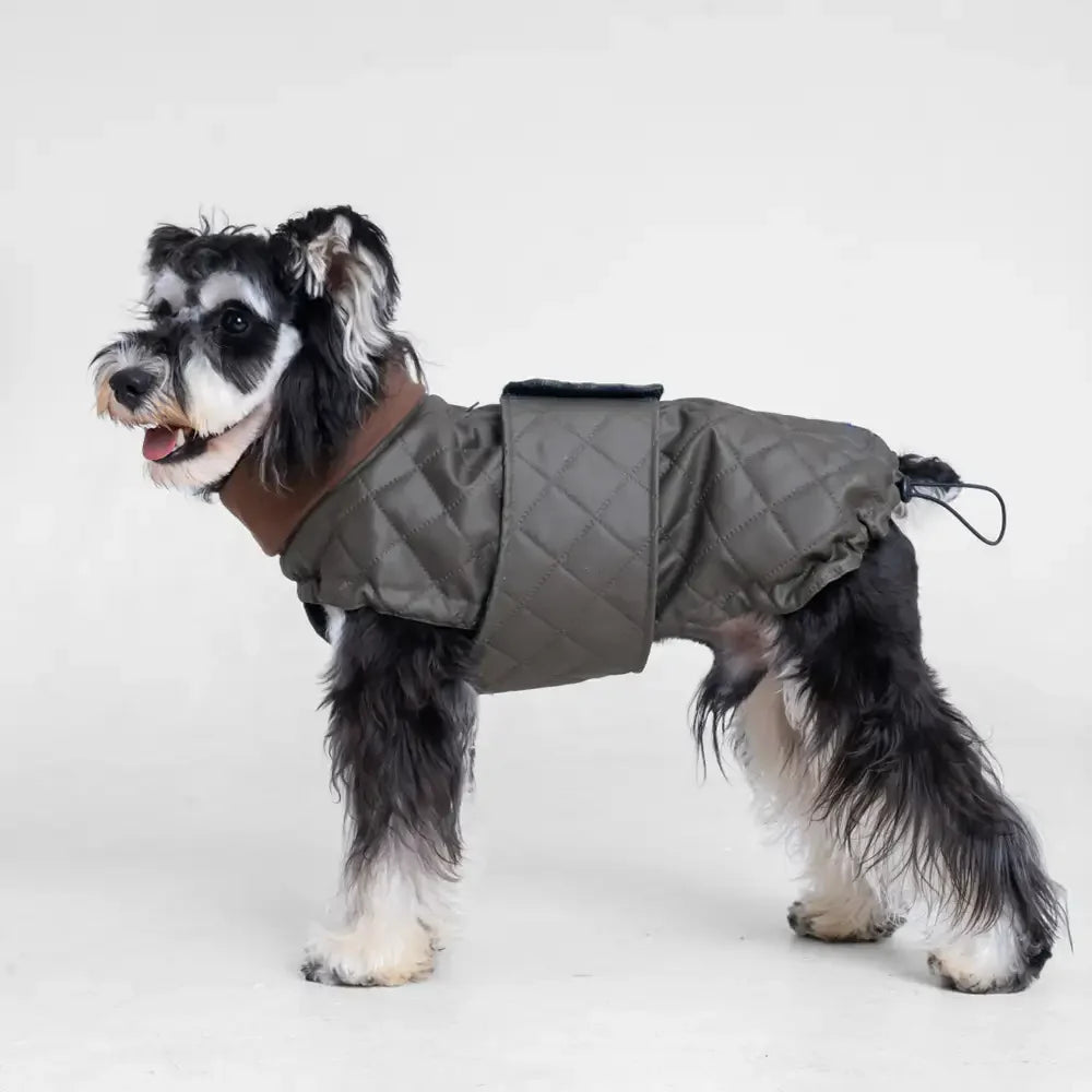 High-Neck Quilted Dog Vest – Warm Fashion Winter Coat
