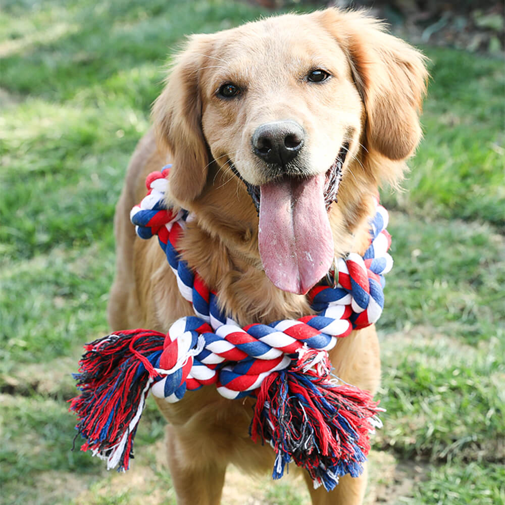 Jouet interactif pour chien remorqueur à nœud de corde