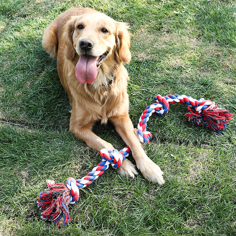 Jouet interactif pour chien remorqueur à nœud de corde