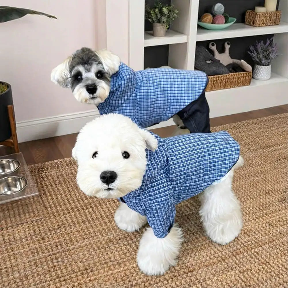 Stylish Dual-Sided Reversible Wear Windproof Outdoor Dog Jacket