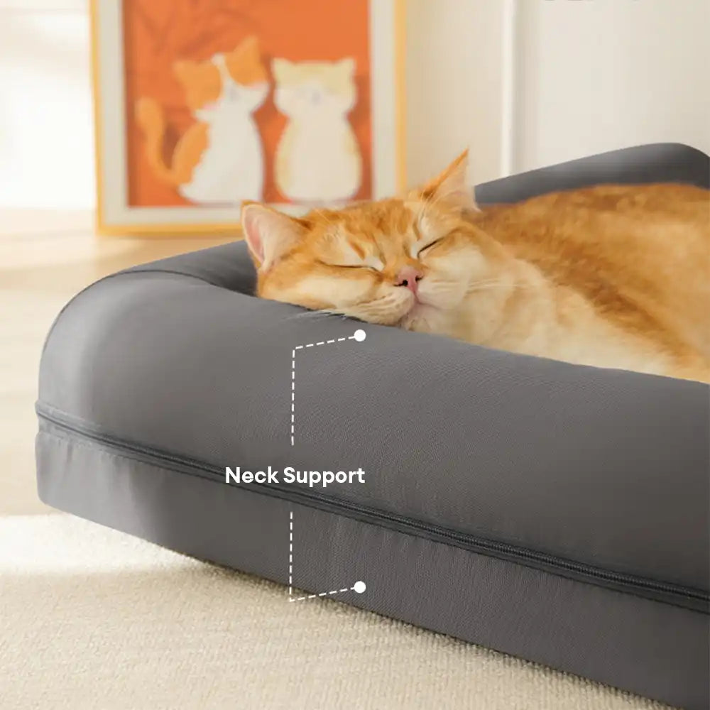 Waterproof Egg Foam Orthopedic Bed with L Bolster Sides Large Dog Bed