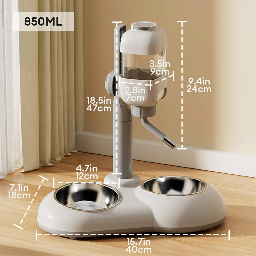 Pet Feeding Bowl Station Food Dispenser With Automatic Water