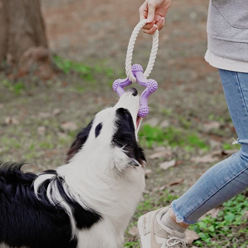 Jouet interactif de tir à la corde pour chien, nettoyage des dents, jouet à mâcher en caoutchouc
