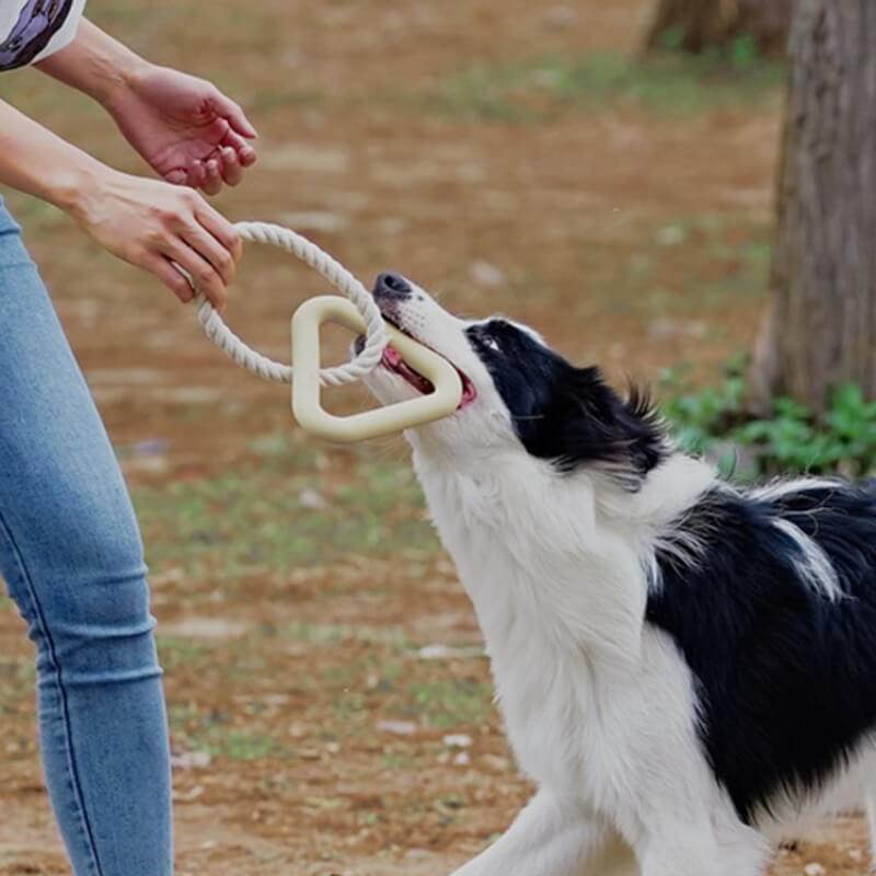 Jouet interactif de tir à la corde pour chien, nettoyage des dents, jouet à mâcher en caoutchouc