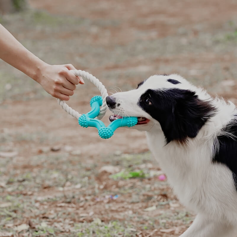 Jouet interactif de tir à la corde pour chien, nettoyage des dents, jouet à mâcher en caoutchouc