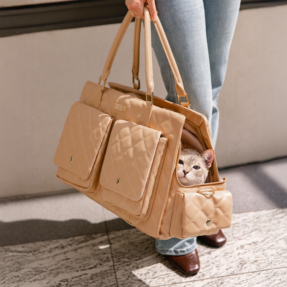 Grand sac de transport élégant et multifonctionnel pour animaux de compagnie, voyage partagé homme-chien - Queue errante
