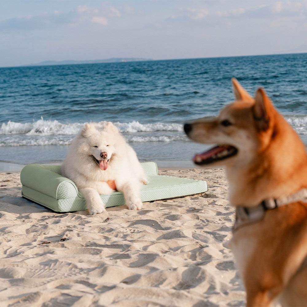 Large Cooling Breathable Non-Slip Orthopedic Dog Bed