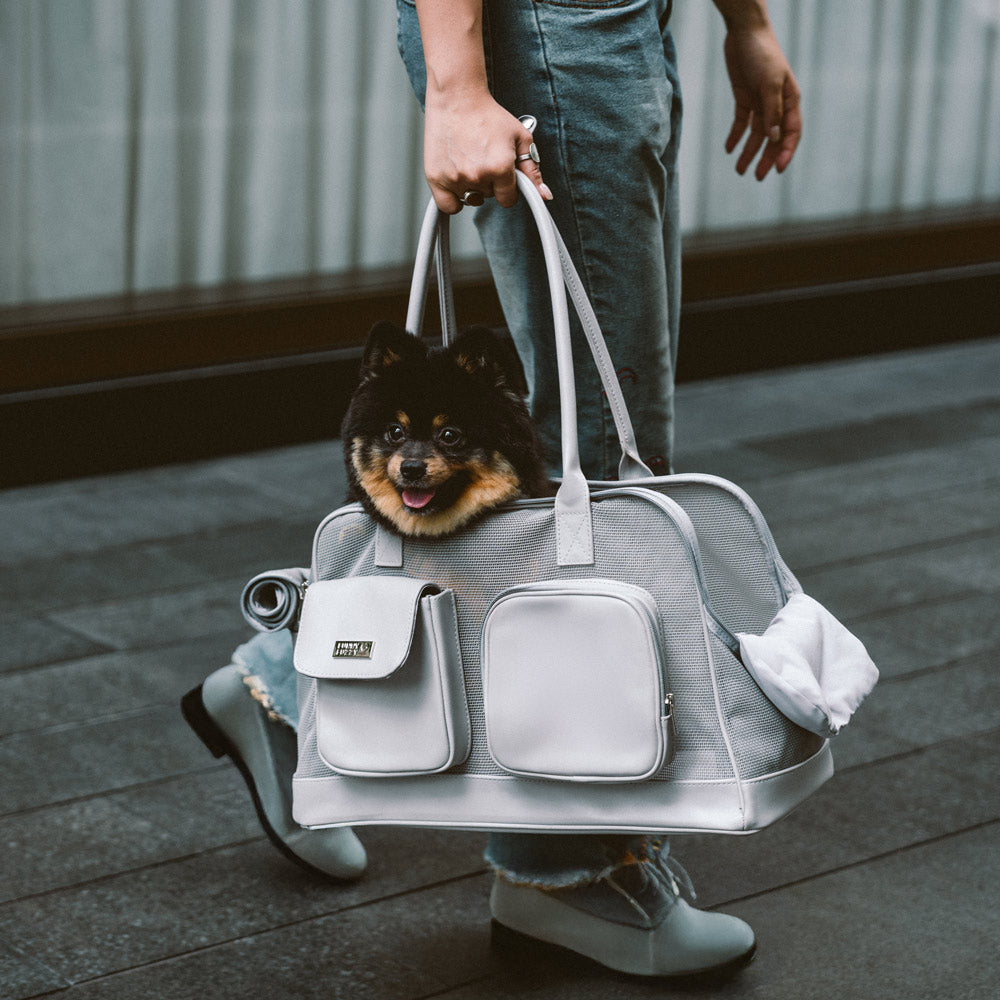 Lightweight Breathable Mesh Safe Pet Carrier - Urban Ease