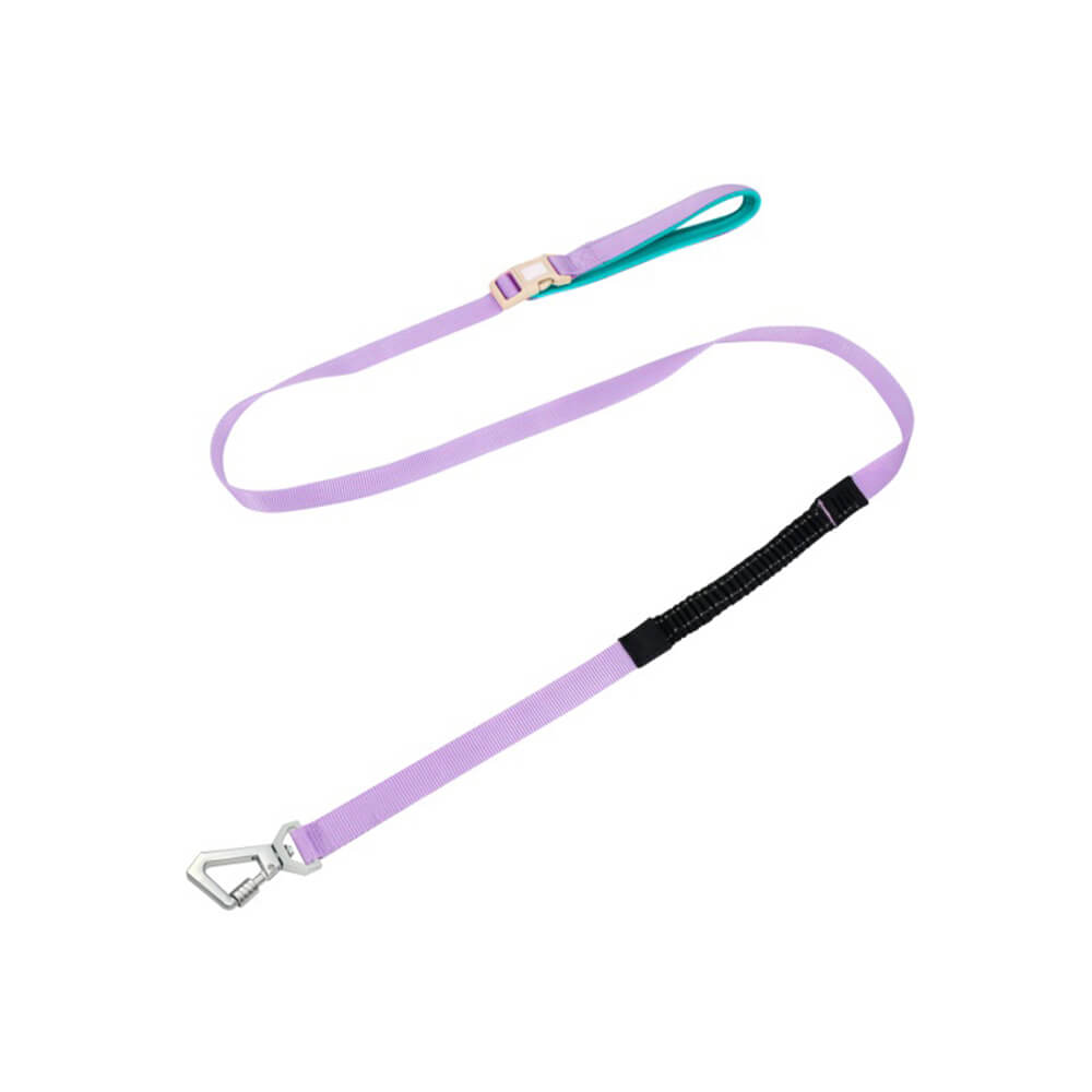 Collier de dressage pour chien Martingale anti-traction Chain Reaction