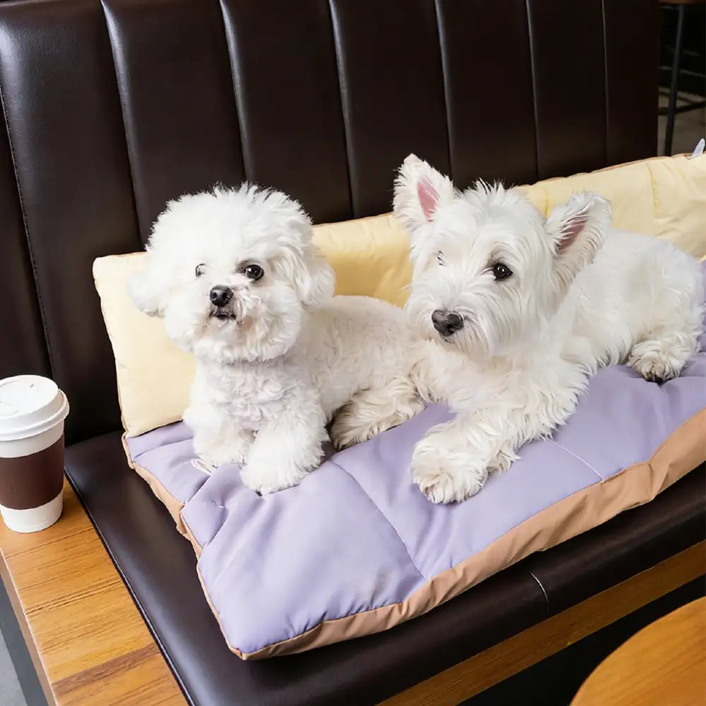 Portable Foldable Double-Sided Water-Repellent Dog Mat for Outdoor Travel & Camping