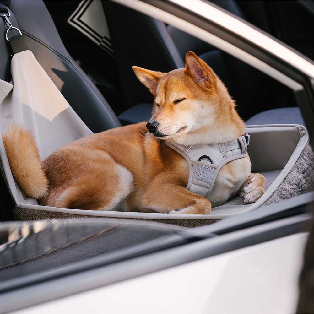 Siège de sécurité de voyage, lit de siège de voiture surélevé et épais pour chien