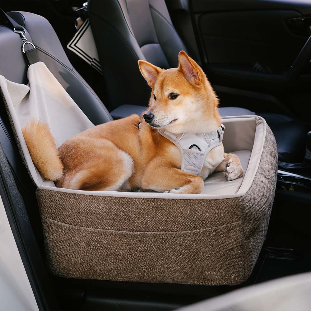 Siège de sécurité de voyage, lit de siège de voiture surélevé et épais pour chien