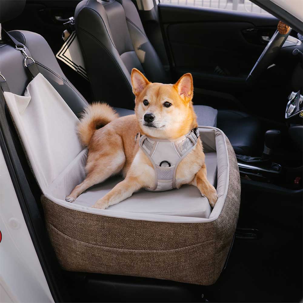 Siège de sécurité de voyage, lit de siège de voiture surélevé et épais pour chien