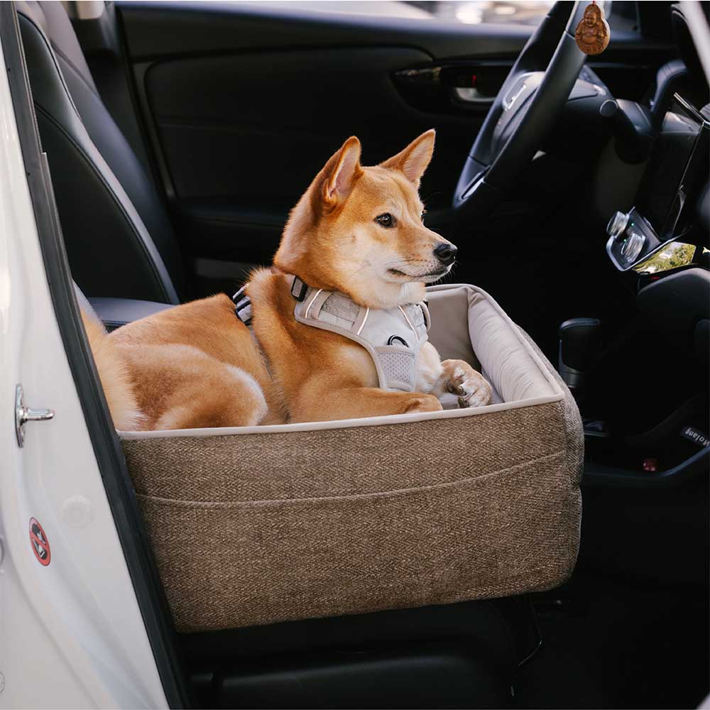 Siège de sécurité de voyage, lit de siège de voiture surélevé et épais pour chien