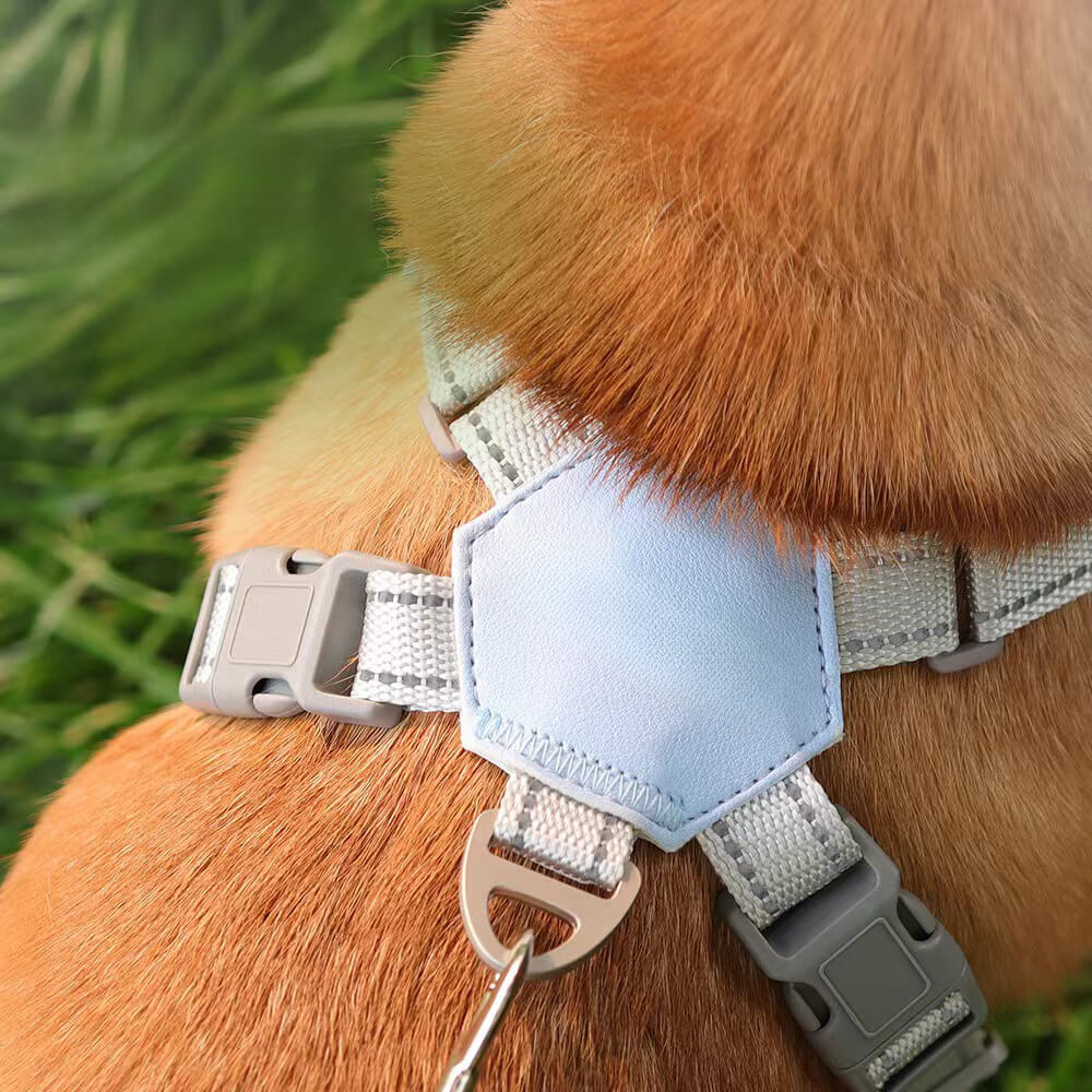 Harnais de corde de traction pour chien de compagnie - respirant et sécurisé