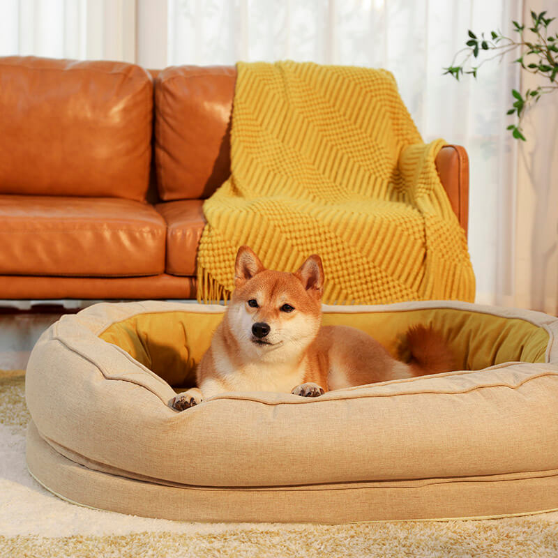 Dog Bed - Donut - FUNNYFUZZY