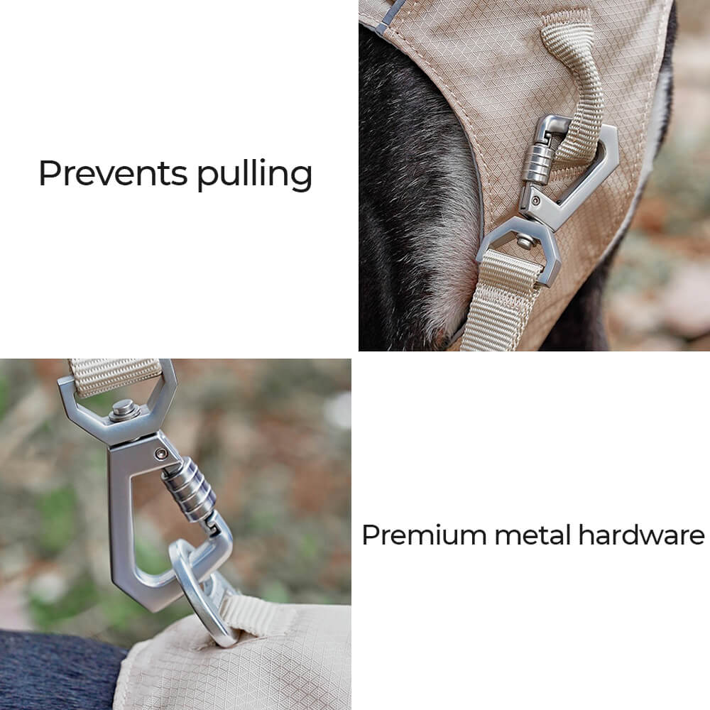Lightweight Waterproof Breathable Anti-Pull Dog Harness and Multifunctional Leash