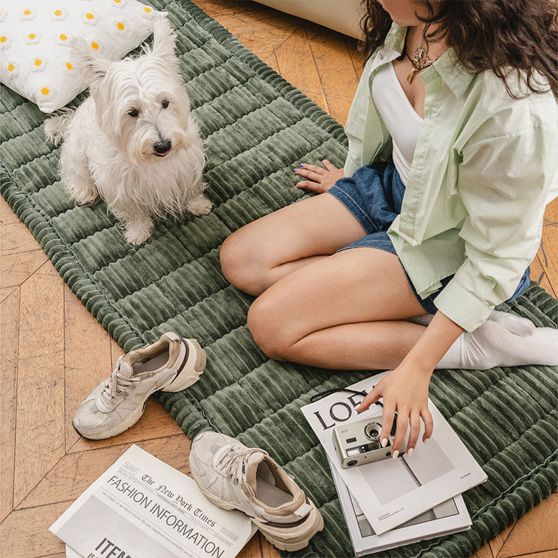 Lazy Soft Flannel Breathable Pet Mat Non-slip Sofa Covers