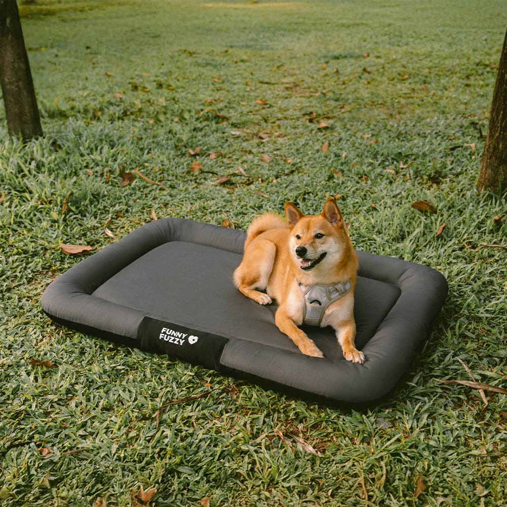 Outdoor Waterproof & Chew-proof Memory Foam Orthopedic Dog Mat - Trek Lounge