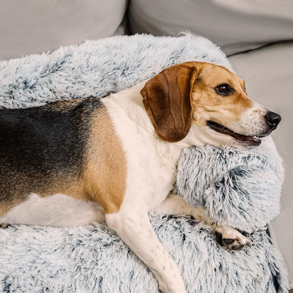 Lit pour chien protecteur de meubles apaisant - Dossier pelucheux