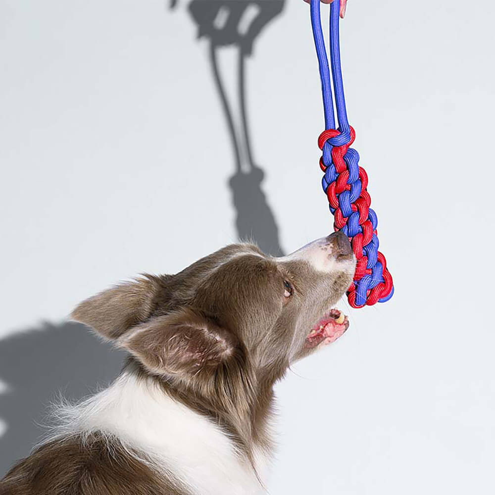 Knots Rope Dog Toy Set - Color Clash - FUNNYFUZZY