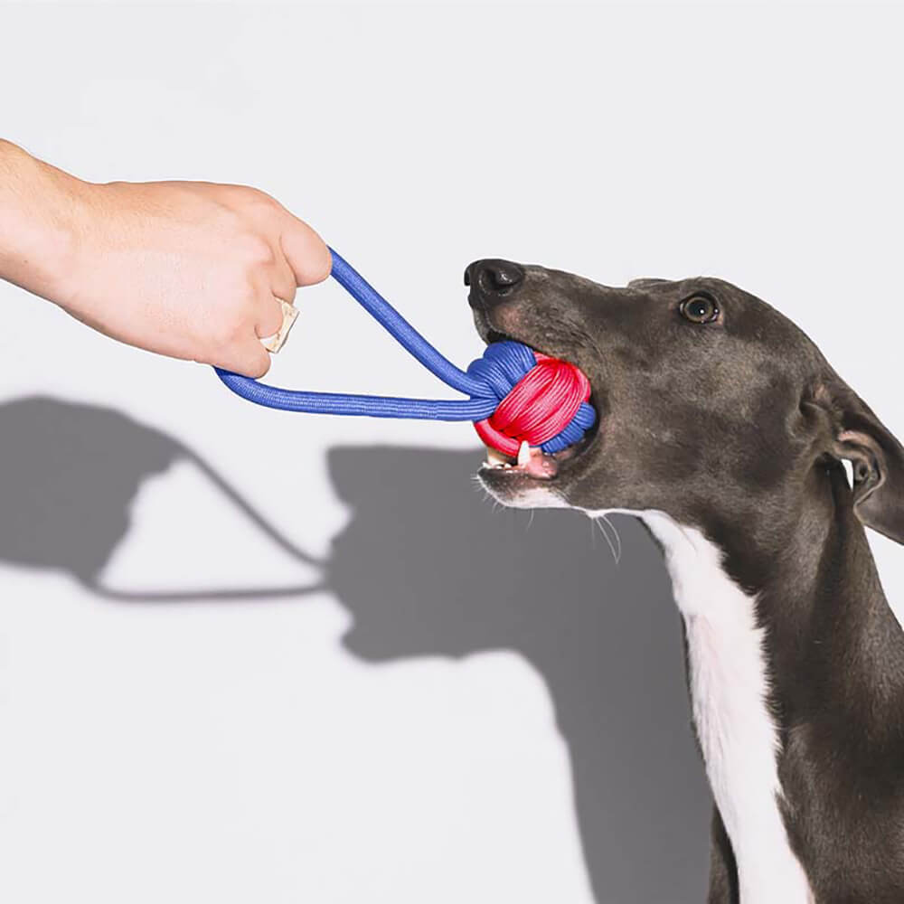 Knots Rope Dog Toy Set - Color Clash - FUNNYFUZZY