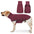 Windproof and Water-Resistant Dog Coat - Ideal for Large Dogs