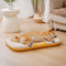 Outdoor Waterproof ＆ Chew-proof Memory Foam Orthopedic Dog Mat - Trek Lounge