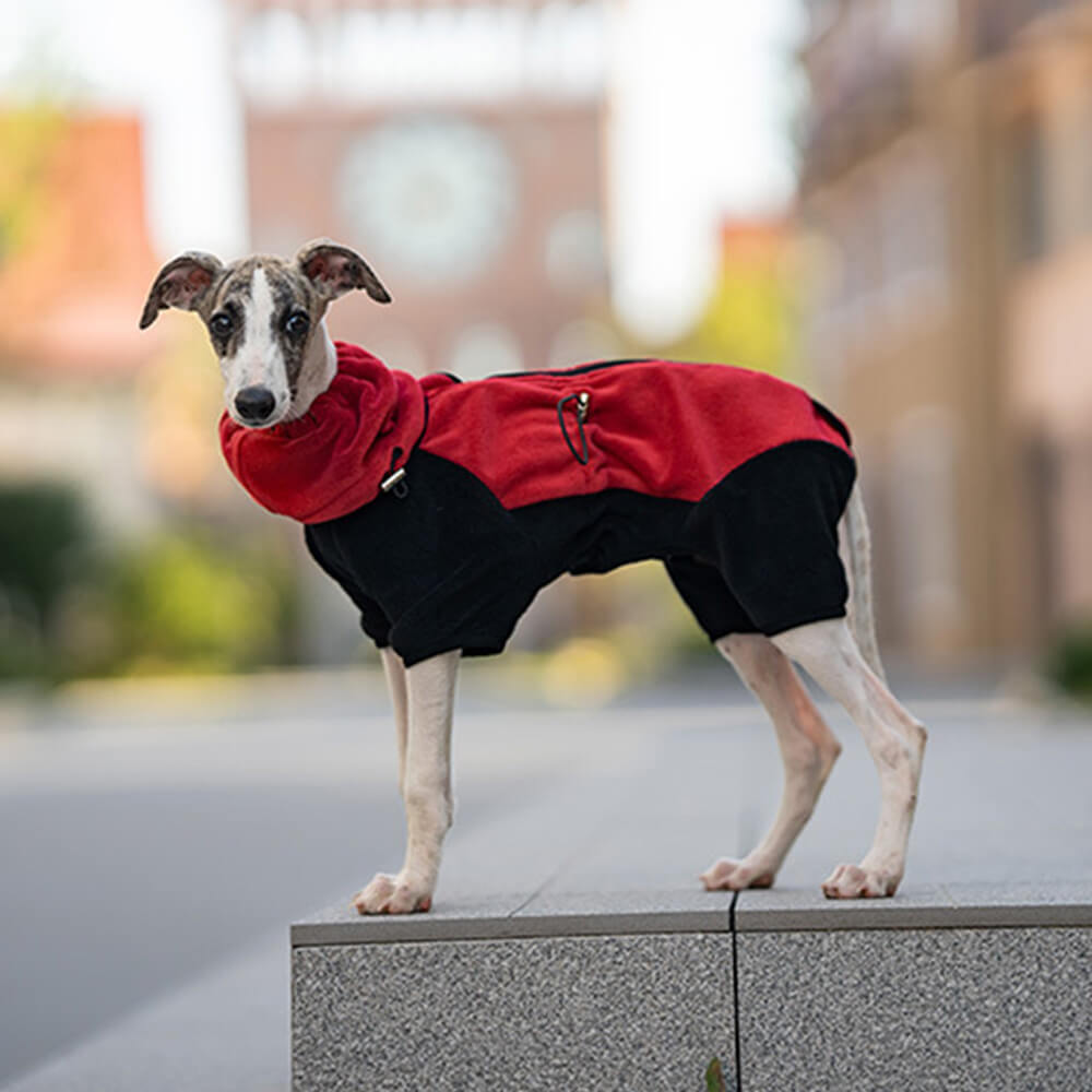 Combinaison pour chien en polaire à couverture complète avec collier amovible