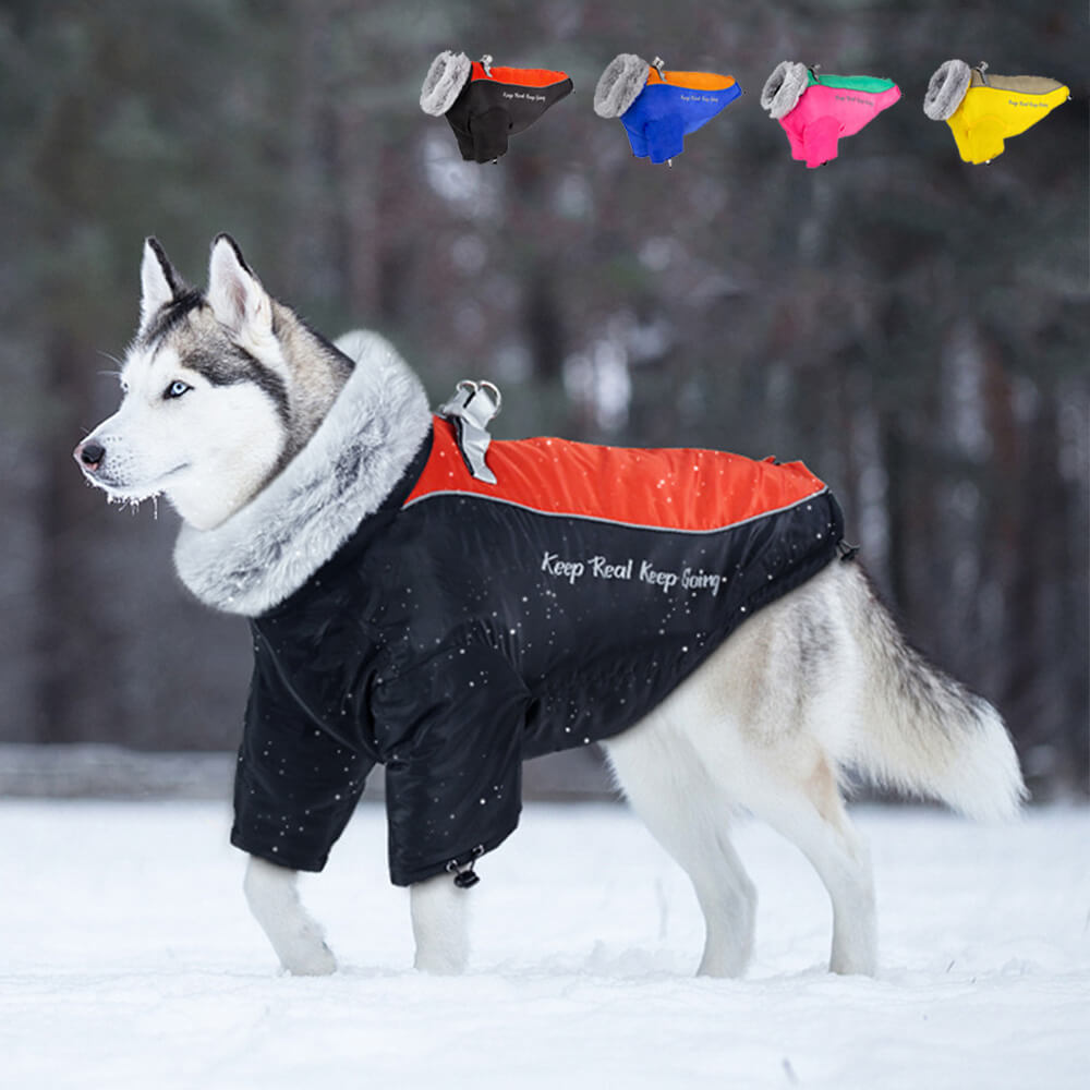 Manteau d'hiver imperméable pour chien avec collier en fourrure – Chaleur et style ultimes